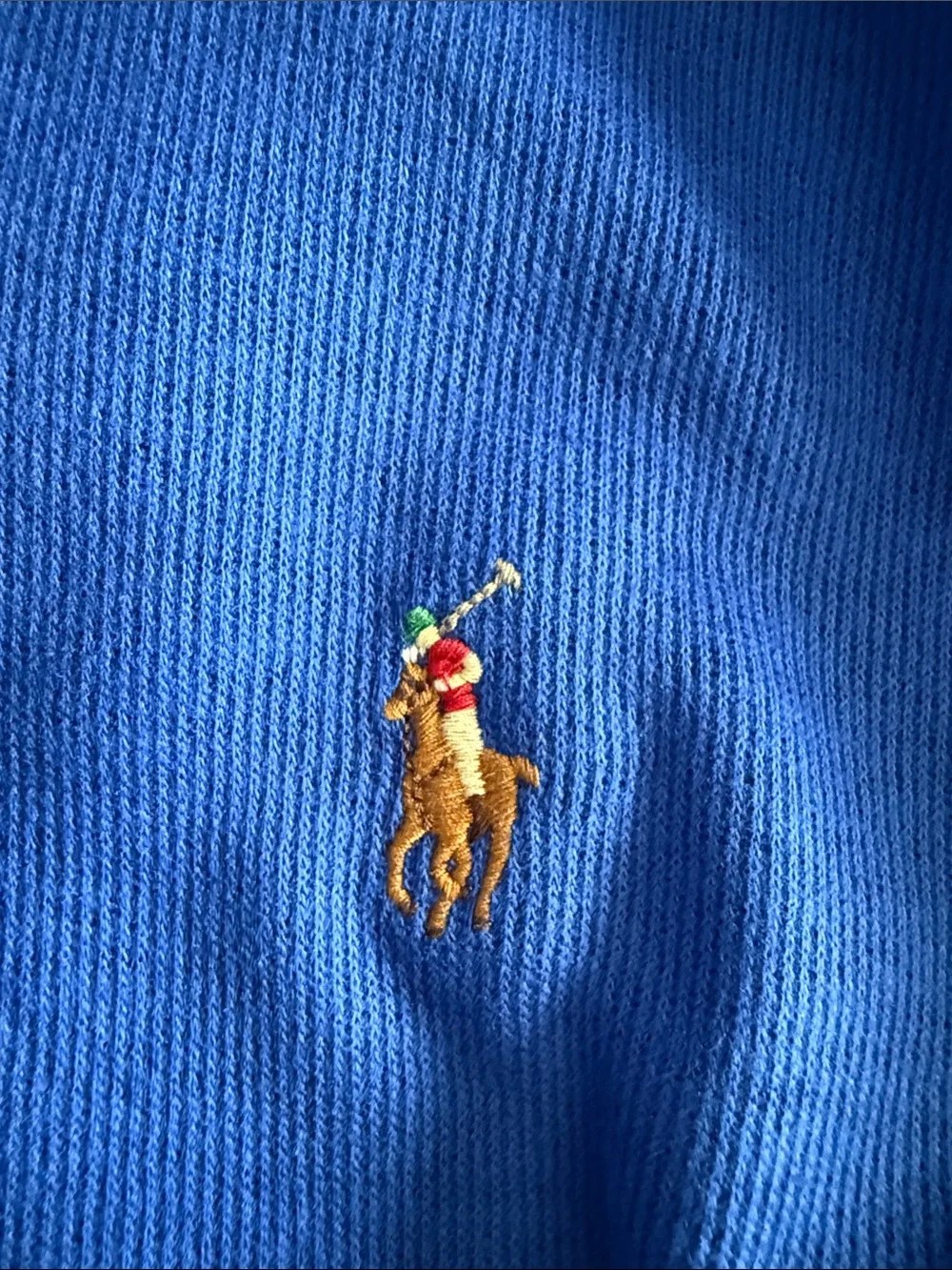 Polo by Ralph Lauren Blue Long-Sleeve Quarter Zip Pullover